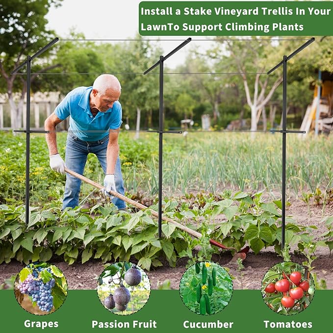 4 Pack Metal Detachable Raspberry &amp Grape Vine Trellis for Climbing Plants Heavy-Duty 7 Ft Tall Large Vineyard Trellis Support Sturdy Garden Stakes for Outdoor Raised Beds Vegetables Fruits Flow