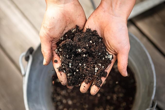VEGGIEPON Organic Gardening Soil for Growing Vegetables Fruits and Herbs 2.7 US.Dry.gal