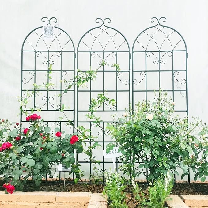 4 Pack Metal Garden Trellis 71x19.7 - Rustproof Climbing Plants Outdoor Flower Support - Easy Assemble Black Iron Trellises - Versatile Plant Support for Roses Black