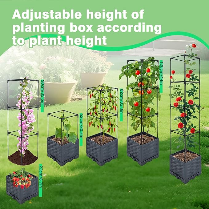 Raised Garden Bed Planter Box 1 Pack 56 Self-Watering Tomato Planter with Trellis for Climbing Vegetables Plants Grape Fruit FlowersUse for Indoor Outdoor Garden Patio
