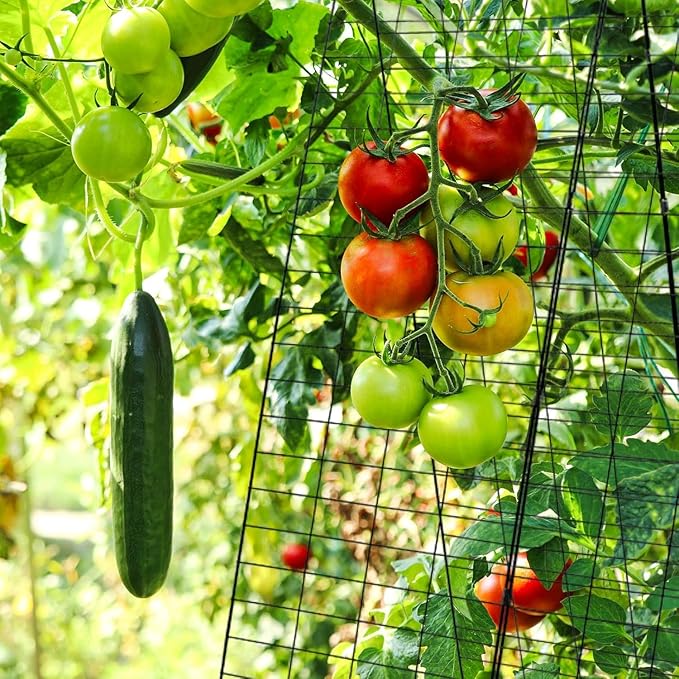 48 H x 34 L Cucumber Trellis for Garden A Frame Garden Trellis for Climbing Plants Outdoor for Raised Bed(2 Packs)