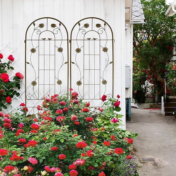 2 Pack Metal Garden Trellis 86.7 x 19.7 Inches Rustproof Powder-Coated Plant Support for Climbing Roses Ivy Cucumbers Beans Peas Jasmine and More