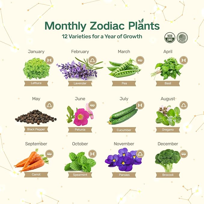 Lush&ampDew Zodiac Garden Seed Bank Gardening Gifts for Women Men 12 Varieties Non-GMO Vegetables Herb Seeds in Seed Organizer Magnetic Gift Box Witchcraft Supplies Air Signs Taurus Virgo Capric