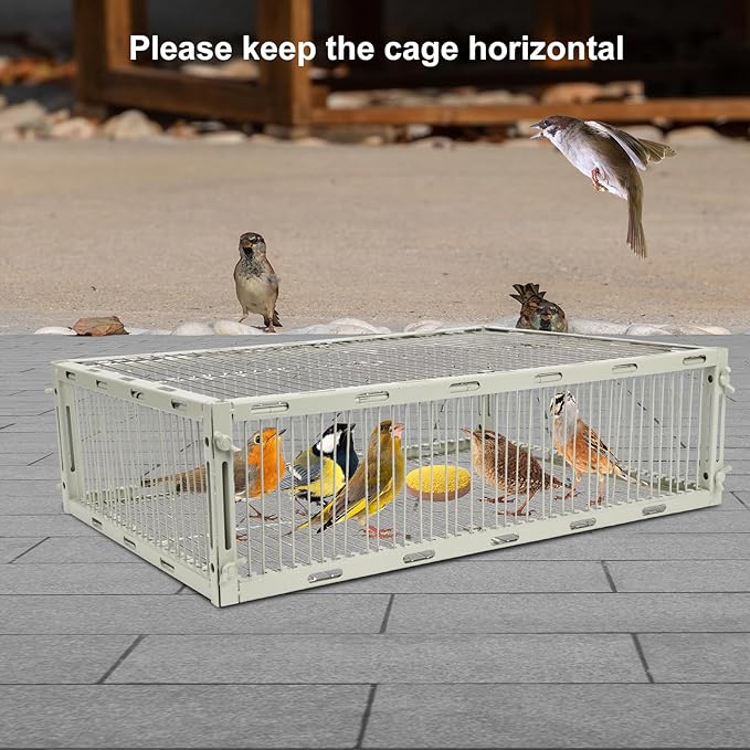 Universal Sparrow Trap Cage – Birds Trap Cage with Escape-Proof Design One Way Bird Catcher Traps for Starlings Quail Cardinals and So OnMade from Rust-Resistant Metal for Long-Lasting Use