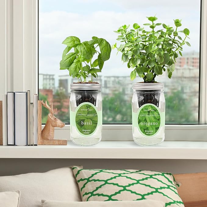 2-Pack Hydroponic Mason Jar Herb Garden Kit Indoor Herb Garden Self-Watering Starter Kit (BasilOregano)