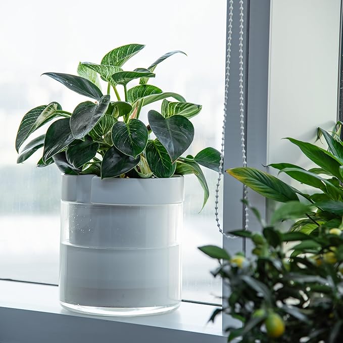 Phoenix Vine 10 Inch Self Watering Planter White Terracotta Clay Pot with Glass Reservoir for Indoor Plants Herbs Flowers Set of 1 52-B-I-1