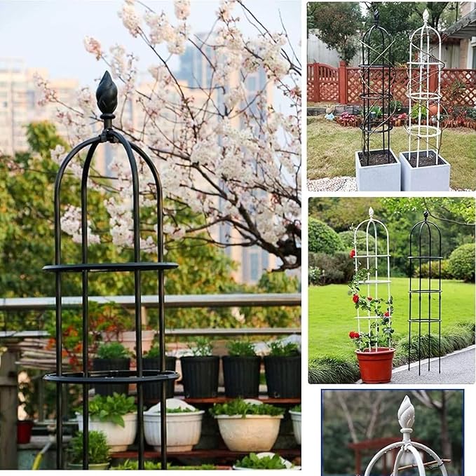 Garden Trellis for Climbing Plants Heavy Duty Strong Tubular Plant Cage Metal Garden Trellis Plant Support for Climbing Vines for Flowers Vegetable Fruits Vines SupportBlack210cm