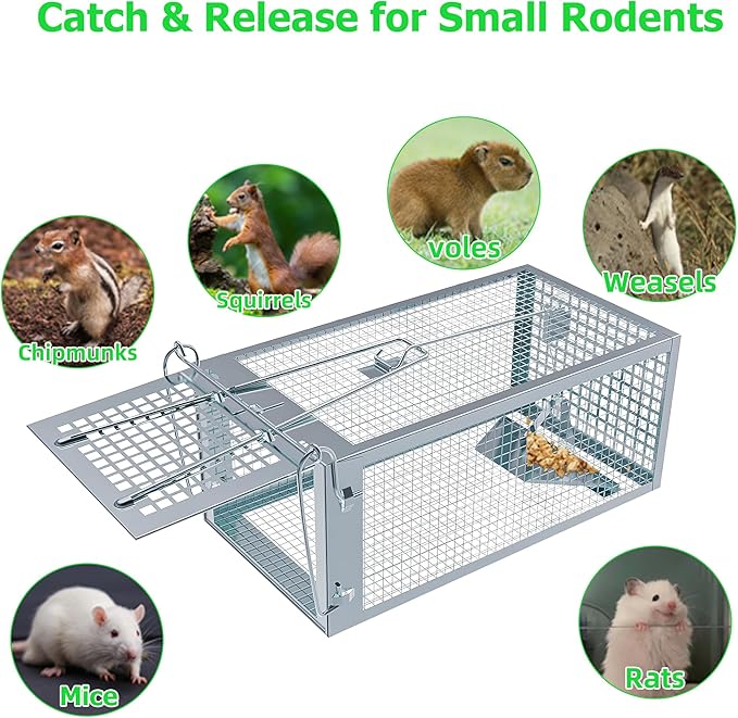 Humane Rat Traps 2-Pack No Kill Small Animal Cage Trap Live Mouse Trap Cage Catch and Release Trampa para Ratones Chipmunk Rodent Trap that Work for Indoor and Outdoor - 10.6 L x 5.5 W x 4.7 H
