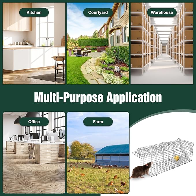Humane Rat Trap Mouse Traps Work for Indoor and Outdoor 14x5x8 Inch Small Rodent Chipmunk Squirrel Trap and Other Live Animal Trap Cage Catch and Release for Kitchen Yard Garage
