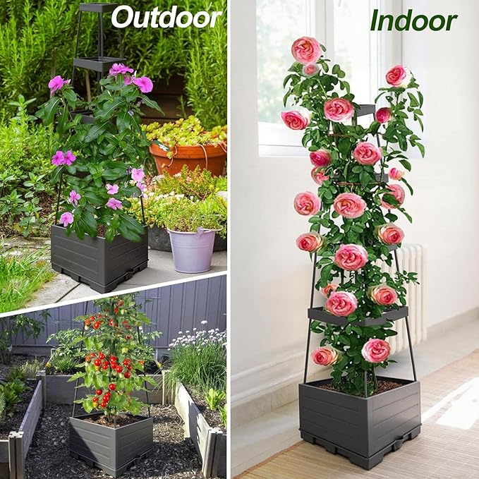 2Pack Raised Garden Bed Tomato Planter Box with Trellis Outdoor Tomato Cage Trellis for Garden Climbing Plants Outdoor Indoor 57 Self Watering Raised Beds for Gardening Tomatoes Vegetable Growing
