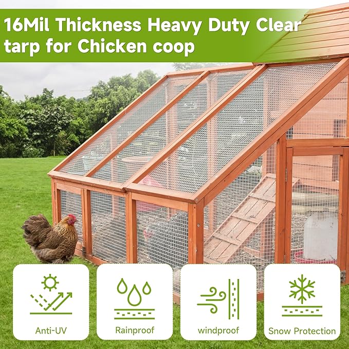 Greenhouse CoverClear Greenhouse Plastic Covering 16Mil Thickness Heavy Duty Clear tarp for Chicken coopGardeningFarming Greenhouse Plastic sheeting with Grommets (White 20ft*30ft)