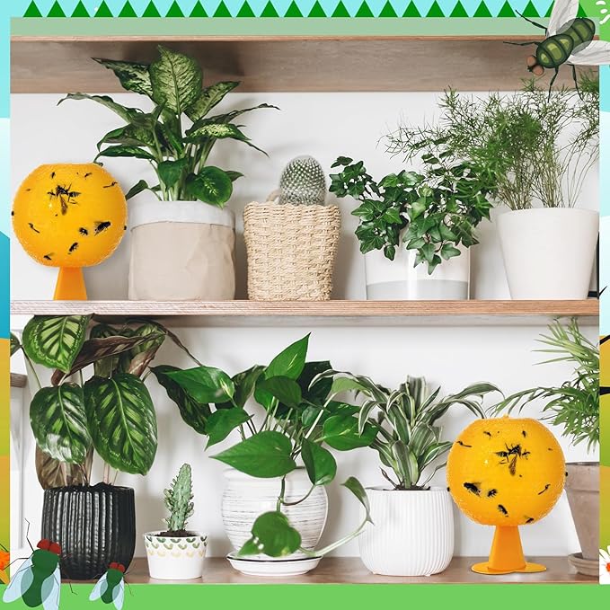 Qualirey 10 Set Fruit Fly Sticky Trap Balls Fungus Gnat Killer Bug Catcher Gnat Trap Insect Traps Indoor Outdoor Plant Fly Sticky Traps Ball for Fungus Plants (Orange)