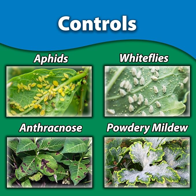 Monterey 70% Neem Oil Fungicide/Insecticide/Miticide Bundled with Measuring Spoon – Controls Powdery Mildew Black Spot Rust Spider Mites Aphids and More – 16oz RTS