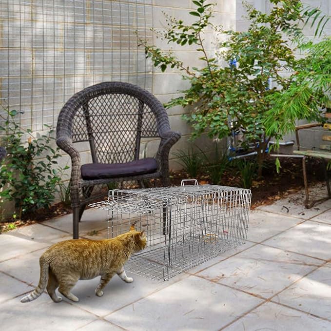 Large Live Animal Cage Trap 30.5x11.8x11Inches Humane Cat Trap for Stray Cats Heavy Duty Foldable Raccoon Traps Humane Catch &amp Release Live Traps for Gopher Opossum Skunk