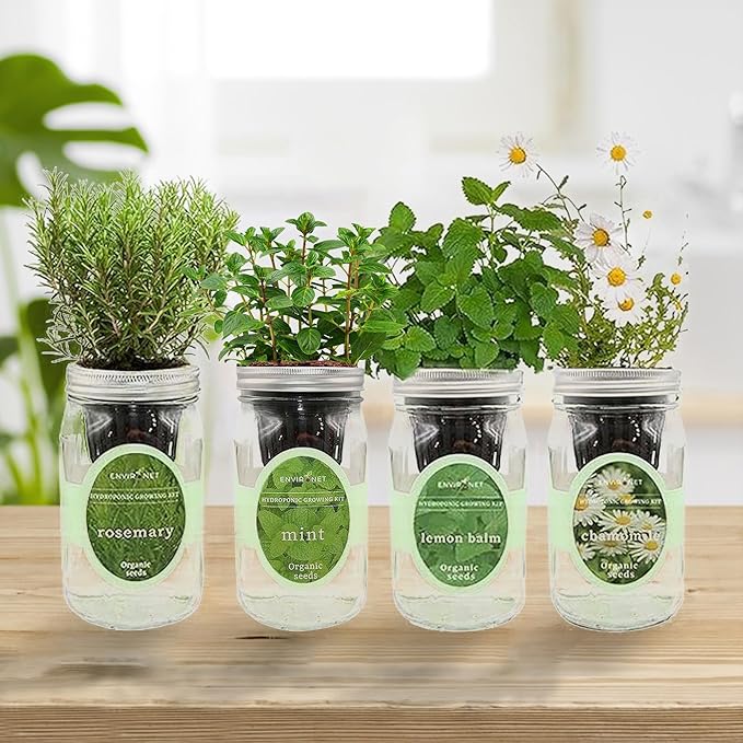 Hydroponic Mason Jar Organic Herbal Tea Seed Starter Kits - Herbal Tea Garden Growing Kits Gardening Gift Grow Your Own Herbal Teas Indoor (Chamomile Mint Lemon Balm Rosemary)