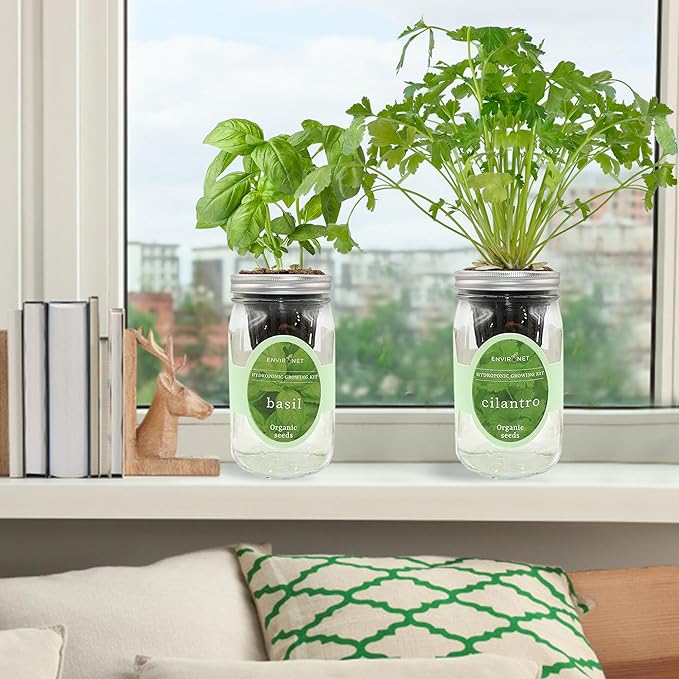 2-Pack Hydroponic Mason Jar Herb Garden Kit Indoor Herb Garden Self-Watering Starter Kit (BasilCilantro)
