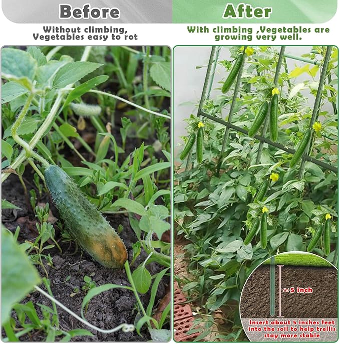 Cucumber Trellis for Raised Bed Large Size Garden Arch Trellis for Climbing Plants Outdoor Metal Garden Trellis for Spring Vegetables Cucumber Trelli for Tomato Bean Pea Grape Plant