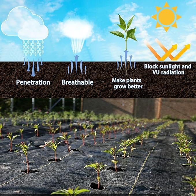 3'X100' Black Weed Control Fabric Heavy Duty 70g for Garden Yard Commercial Driveway and Vegetable Planting (1 Pack)