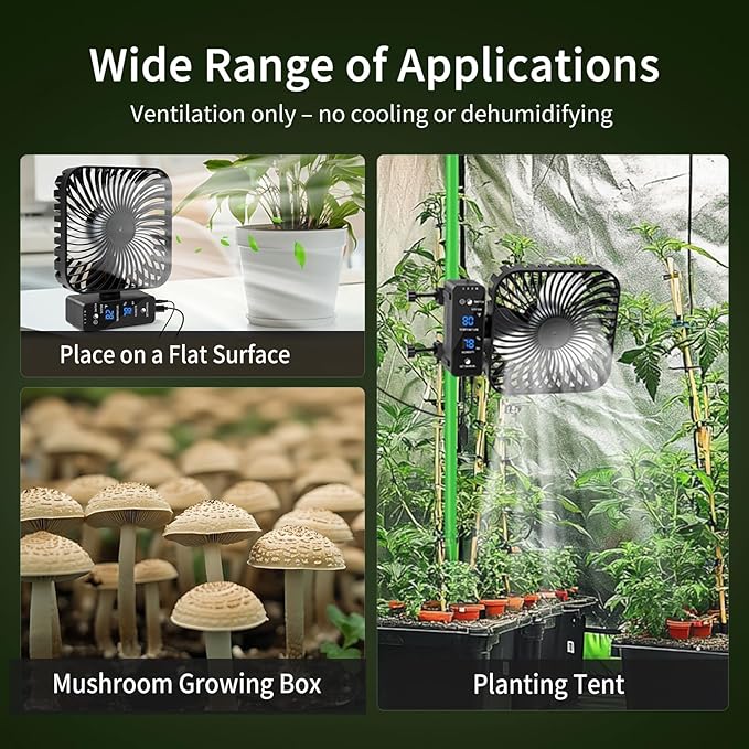 Grow Tent Fan 6” LCD Display with Sensor Adjustable Temp &amp Humidity Control 4-Speed 90° Oscillating Fan Strong Airflow for Indoor Growing Mushroom Box Desk Use