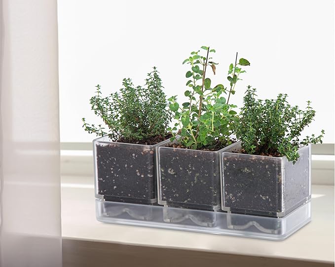 D'vine Dev Herb Garden Planter Set Plastic Plant Pots with Drainage and Saucer Indoor Succulent Cactus Vegetable Pot for Windowsill Garden Balcony Clear Set of 2 76-V-D-2