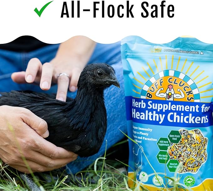Herb Supplement for Backyard Chickens - Natural Chicken Treats Poultry Feed Botanical Mix Plant-Based Coop Snacks for Daily Wellness Feather Quality Egg Production USA (20 LB)
