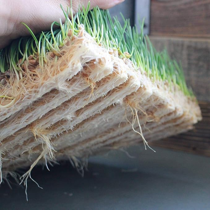Handy Pantry Pro Micro Jute Microgreens Grow Mats 10x10 Inches for 1010 Growing Trays - Pack of 10 Pads - Hydroponic Grow Media for Micro Greens &amp Wheatgrass