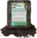 Palm Tree Growing Soil Mix – 5 Quarts - Custom Soil Blend – Potting Mix for Palm Trees – Specially Developed by and for Professional Nursery Growers - Nutrient-Rich Formula