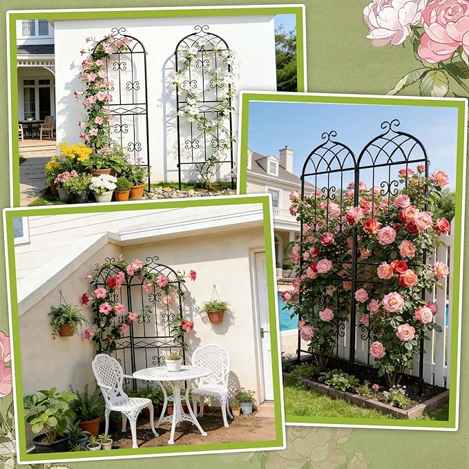2 Pack 70.8 H x 19.7 W Arched Metal Garden Trellis for Climbing Plants Outdoor - Tall Rust-Resistant Decorative Climbing Rose Trellis Perfect for Roses Vines Vegetables Flowers Black
