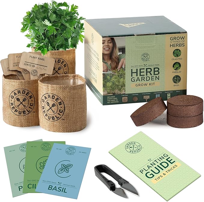 Garden Republic Indoor Herb Garden Kit - DIY Herb Plants Starter Economy Kit - Grow Kits for Growing Herbs Indoors Kitchen Balcony Window Sill - Basil Parsley Cilantro