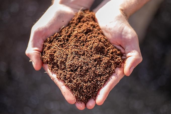 Loose Coco Coir 50L (1.8 cu ft) – Organic Pre-Moistened Coconut Fiber Growing Medium | Triple-Washed Ready-to-Use Coco Coir for Plants Seed Starting &amp Hydroponics
