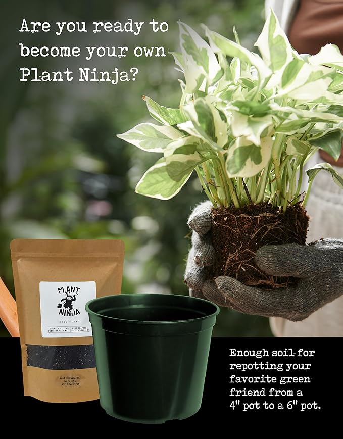 Premium Starter Bundle Includes: 16oz Spray Bottle 1oz Concentrate (Funnel Included) of Plant and Leaf Shine Soil Blend 6” Pot for Indoor Plants House Plants w/Potting Soil - Small