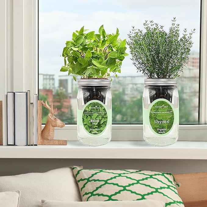2-Pack Hydroponic Mason Jar Herb Garden Kit Indoor Herb Garden Self-Watering Starter Kit New Christmas Gift for Mom (ThymeThai Basil)