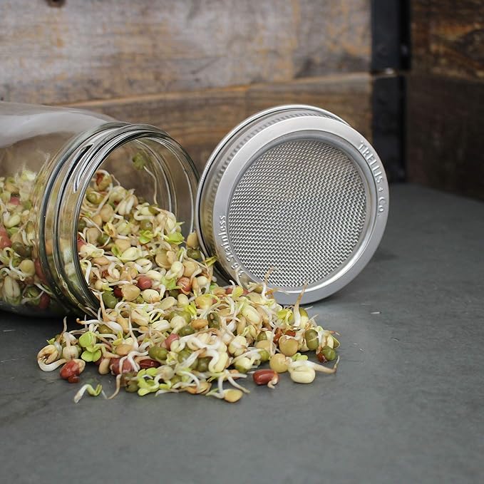 Deluxe Sprouting Jar Lid Kit With Seeds | Includes Half Gallon Jar 316 Stainless Sprouting Ring With Mesh Strainer Sprouting Stand And Handy Pantry Sprouting Seeds