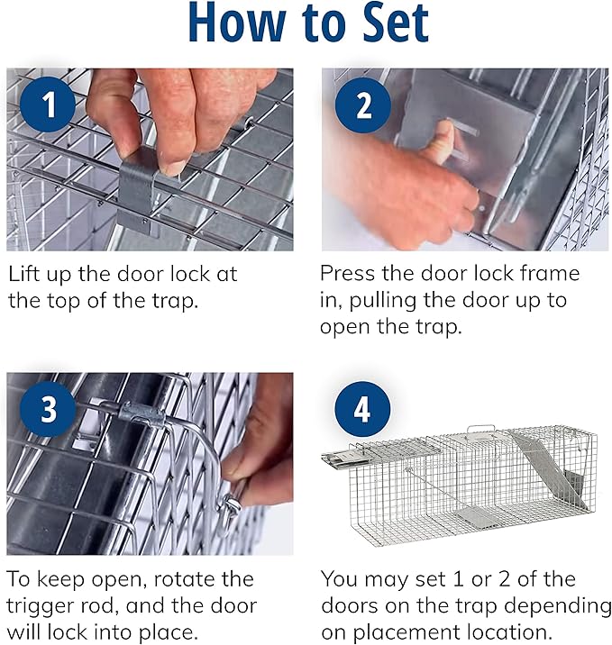 Havahart Large 2 Door Humane Catch and Release Live Animal Trap for Armadillos Beavers Bobcats Small Dogs Cats Foxes Groundhogs Nutria Opossums Raccoons Live Catch Trap for Stray Dogs 1045SR