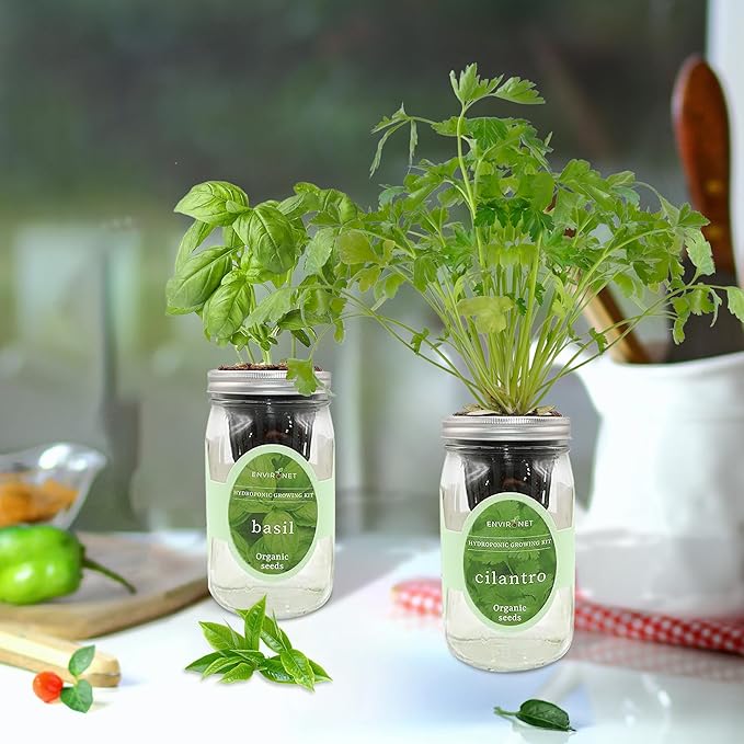 2-Pack Hydroponic Mason Jar Herb Garden Kit Indoor Herb Garden Self-Watering Starter Kit (BasilCilantro)