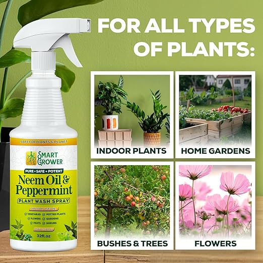 Neem Oil Spray for Plants with Peppermint Oil Natural Plant Wash Made for Indoor and Outdoor Plants Smart Grower 32oz Easy Ready to Use Spray