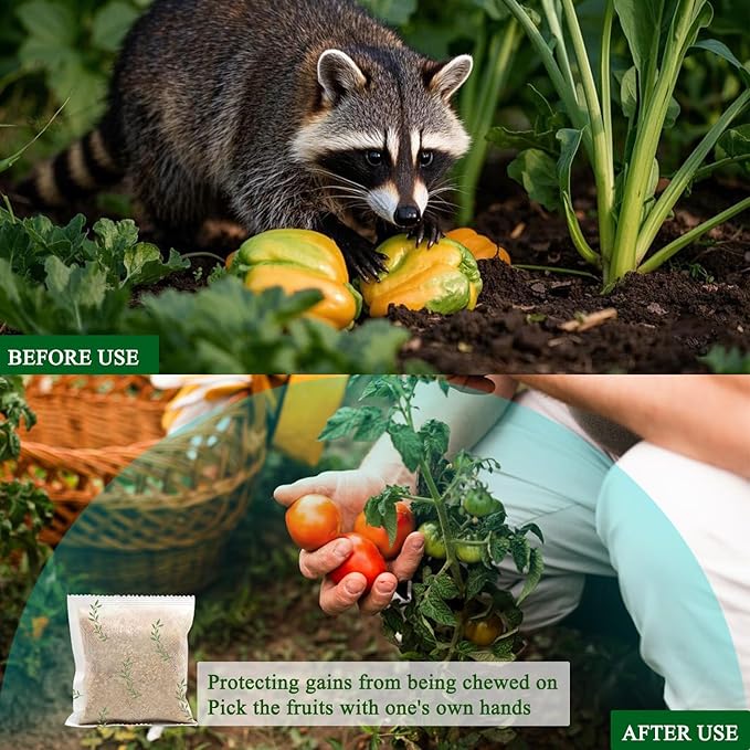 Natural Raccoon Repellent Granules | Eco-Friendly Non-Toxic &amp Long-Lasting Protection with Garlic Peppermint &amp Wintergreen Oils | Safe for Pets and Children |10-Pack (25g per Bag)