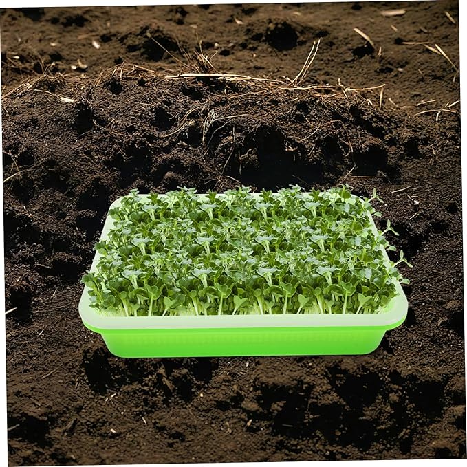 VICASKY Mason Jar Sprouting Kit Easy to Use Sprouter Tray with Sprouter for Soil Hydroponic Growing Compact Sprout Growing System for Spaces Cover