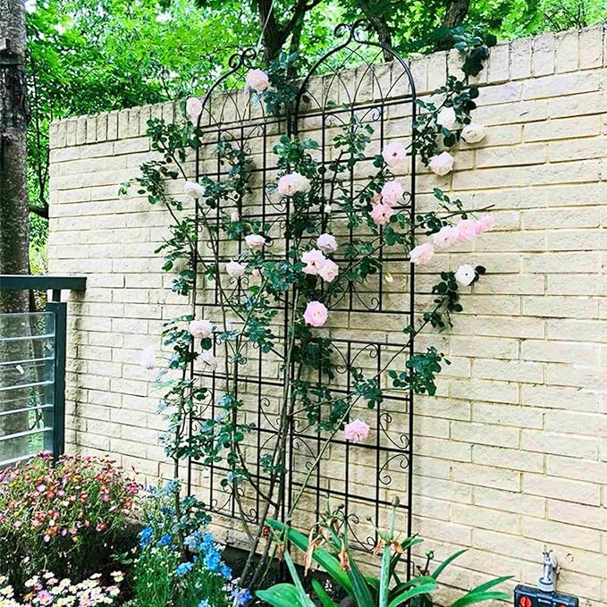 2-Pack Metal Garden Trellis for Climbing Plants - Outdoor Flower Support 19.7’’ x 86.7’’ - Expandable Flower Wall Black