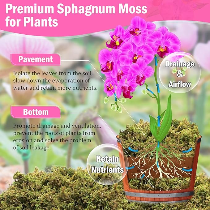 Riare 4.4LBS Premium Sphagnum Moss for Plants- 80QT Natural Dried Plant Moss for Potted Plants Orchid Moss for Repotting Soft Green Decorative Moss for Succulents Reptiles &amp DIY Crafts