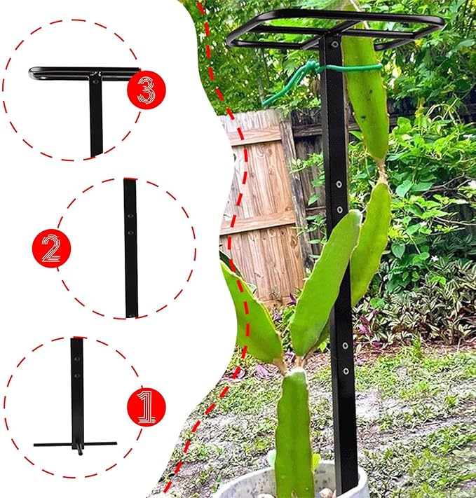 Dragon Fruit Trellis Adjustable Height Indoor Outdoor Easy Installation Plant Trellis Garden Climbing Support for Backyard