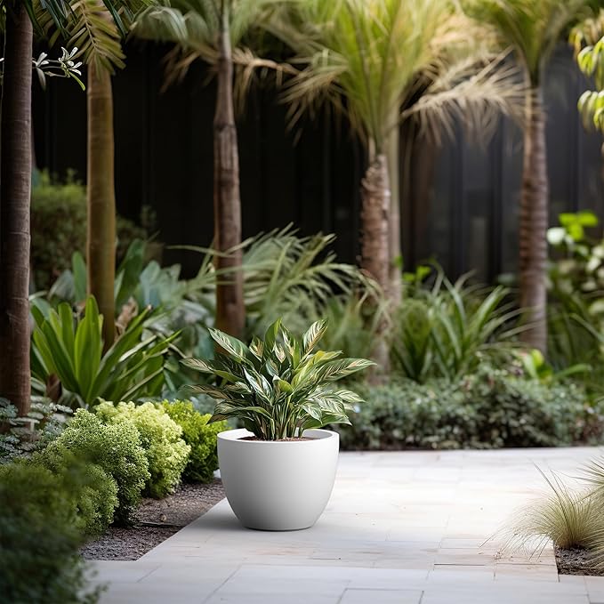 Kante 14.2 Inch Round Concrete Planter - Classic Large Indoor/Outdoor Plant Pot with Drainage Hole and Rubber Plug Suitable for Gardens and Patios White