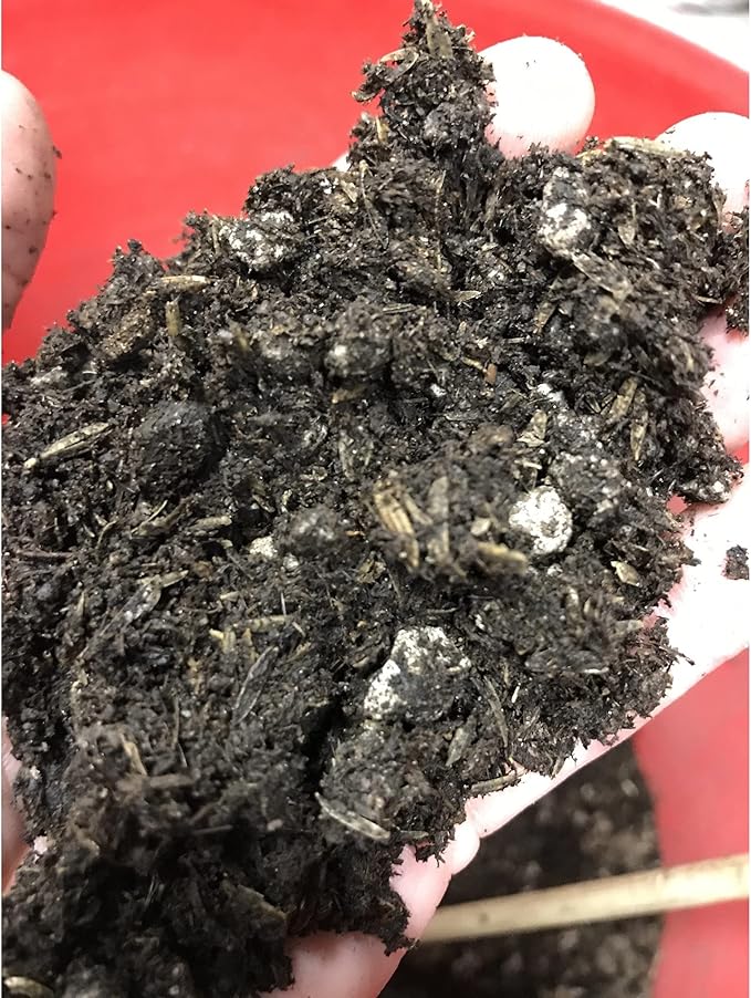 BuildASoil Light Garden Soil for Indoor &amp Outdoor Plants (1 Cubic Foot)