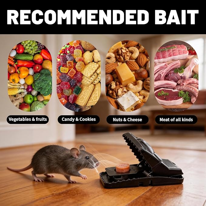 Mouse Traps 10 Pcs Reusable Rat Traps with Detachable Bait Cup High Sensitivity PVC Snap Traps with Sharp Teeth for Fast Kill Indoor and Outdoor (5.5x3.15x2.95)
