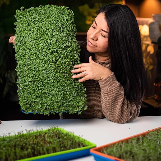 Bootstrap Farmer Microgreen Growing Trays Multicolor 10 Pack No Holes Heavy Duty Sprouting Tray