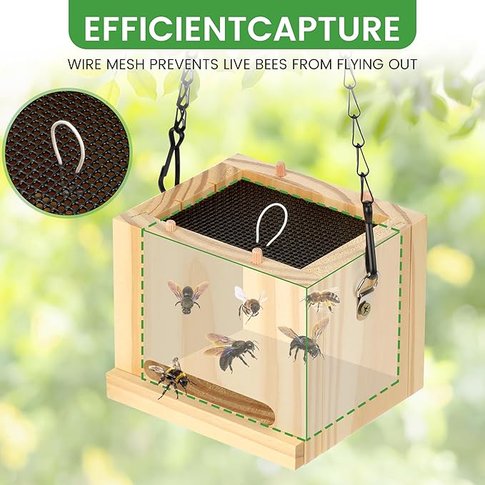 Carpenter Bee Trap for Outside - Wasp Traps Outdoor Hanging with Sticky Traps - Carpenter for Wasps Mud Daubers (2 Bee Trap+8 Refills)