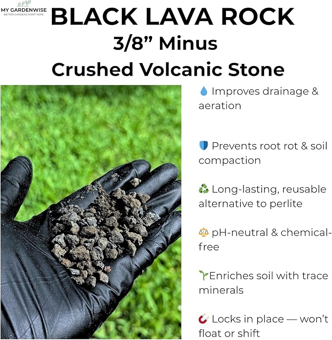 Lava Rocks for Plants (3/8’’ Minus) Natural Black Lava Rocks Succulent &amp Terrarium Horticultural Volcanic Rock Ideal Drainage for Potted Plants Made in USA (5 qts - 9 lbs)