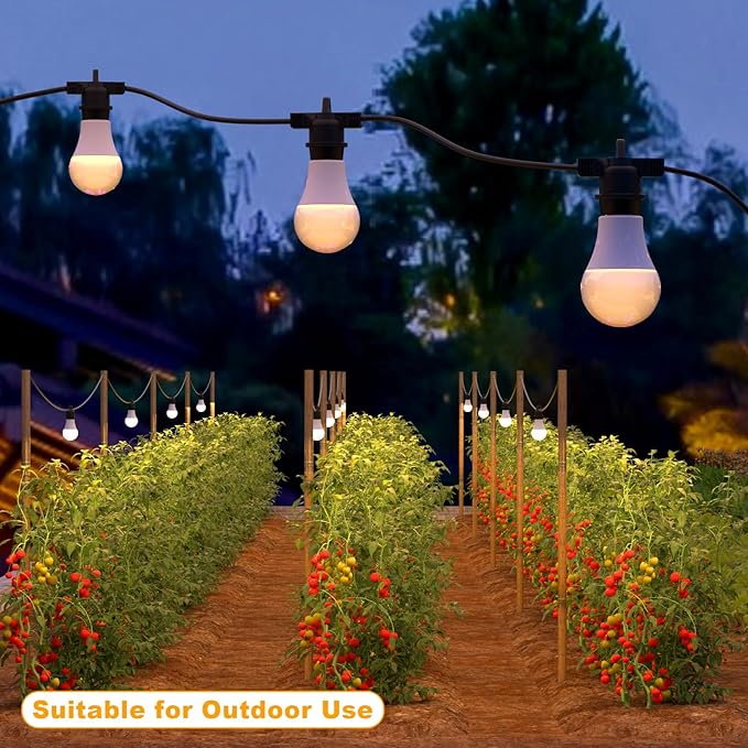 LED Grow Light Bulbs with E26 Base 45W Durable 12 ft String Grow Lights Waterproof Hanging Full Spectrum A25 Plant Lighting for Seeds Flowers Succulents Indoor &amp Outdoor Use (3 Lights)