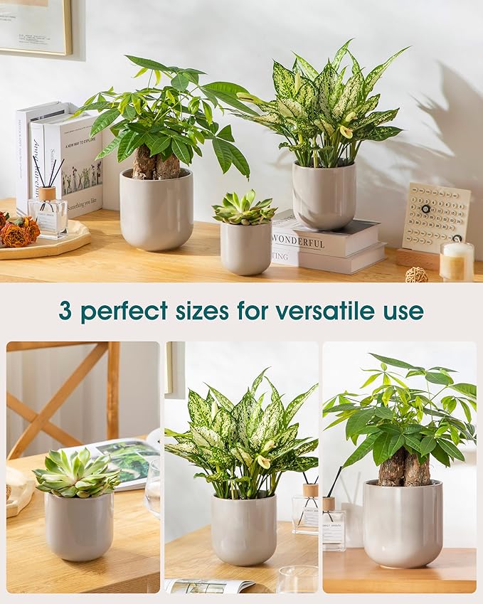 vancasso Ceramic Plant Pots 4+5+6 inches Set of 3 Planters with Drainage Hole Flower Pots Planters Pots for Indoor Plants Modern Indoor Decorative Garden Pot Home Decor Gray