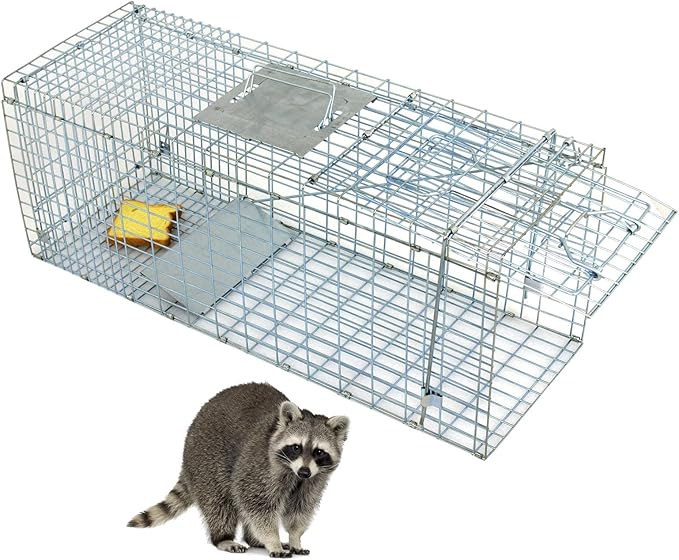 32 x 12 x 12.5 Large Humane Live Animal Trap - 1-Door Solid Steel Catch &amp Release Cage for Raccoons Rabbits Stray Cats Squirrels Groundhogs Opossums Armadillos